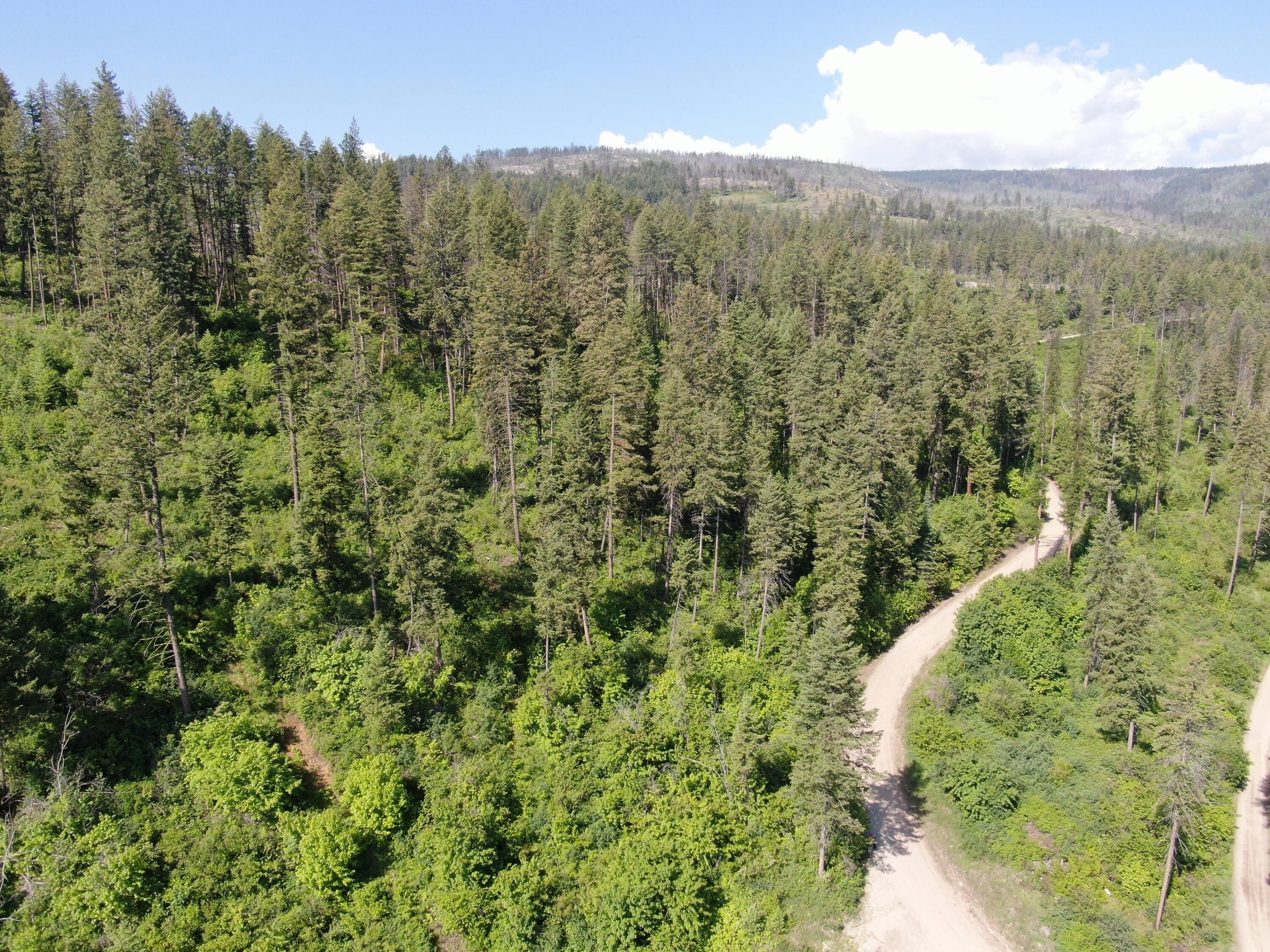 Other - LOT 4 MATSEN CREEK RD, KETTLE FALLS, WA