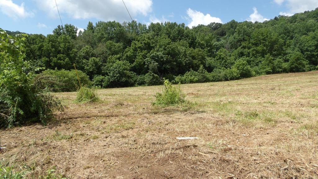 Other - 5.6ac Lonnie Reese Rd, Celina, TN