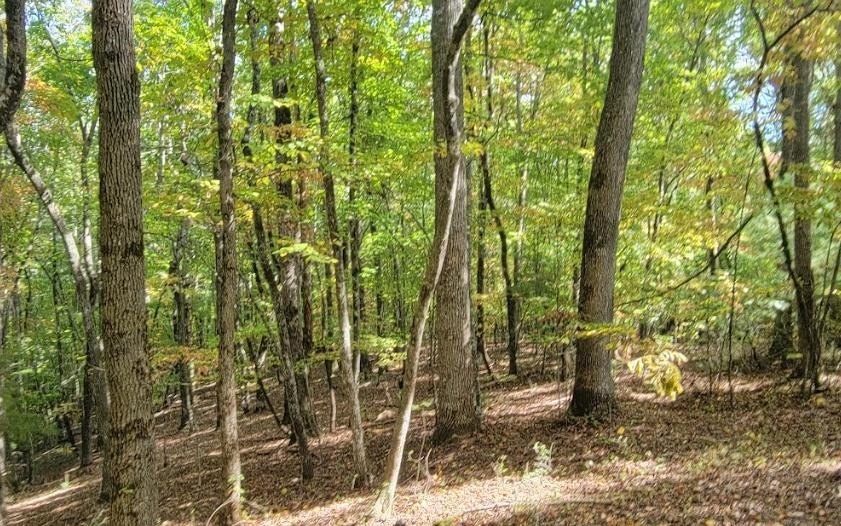 Other - 31-a&b Mountain View Lane, Hayesville, NC