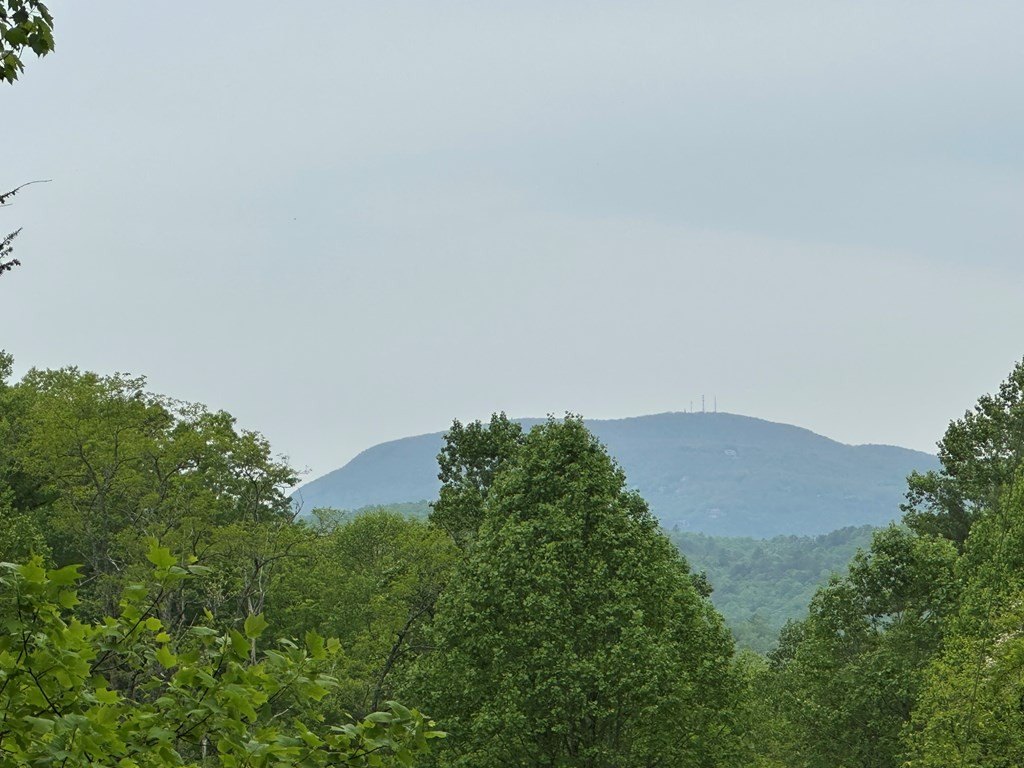 Other - Diamond Creek Road, OTHER, NC