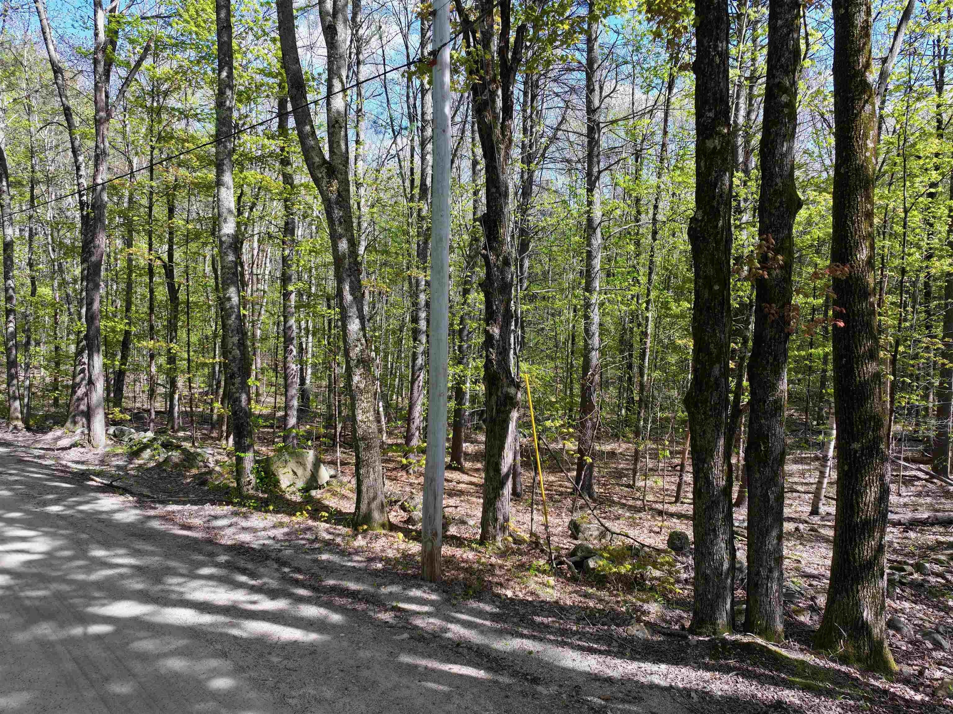 Other - 00 Poor Farm Road, Weare, NH