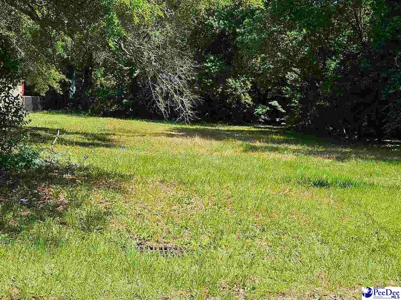 Single Family - 429 Sumter Ave, Hartsville, SC