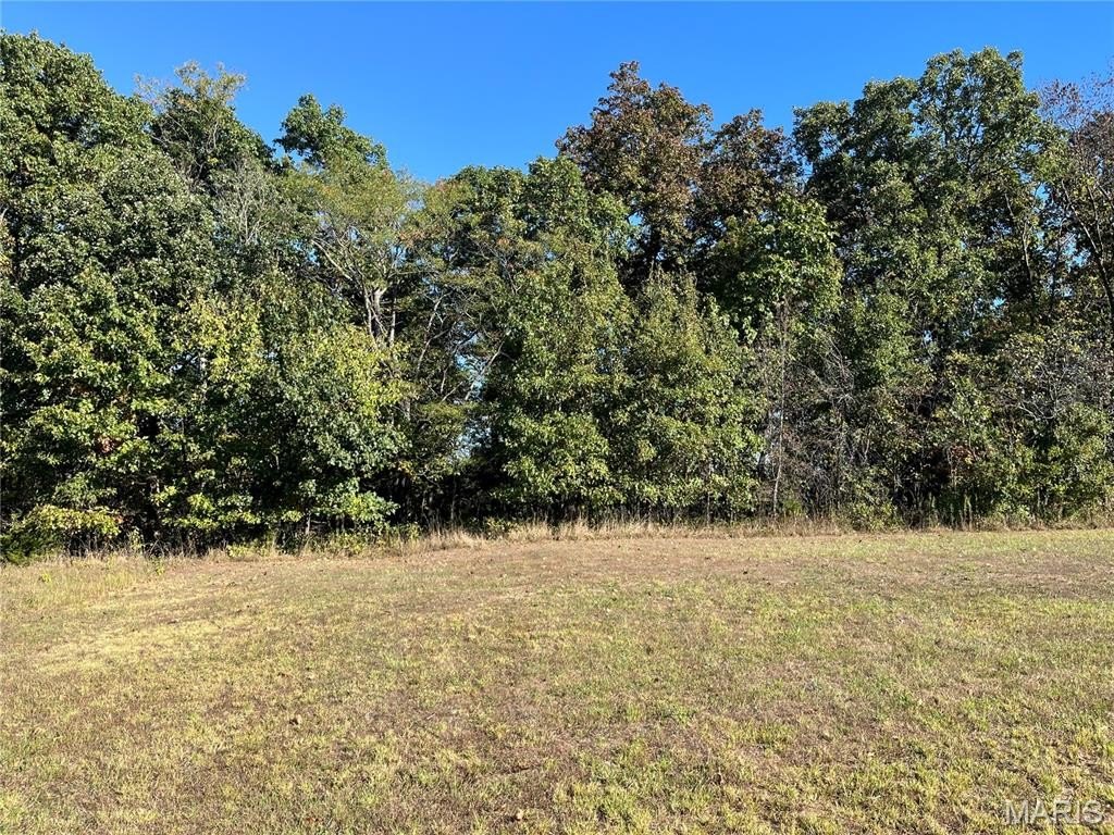 Other - 0 Lot 3 Linda Lane, Bowling Green, MO