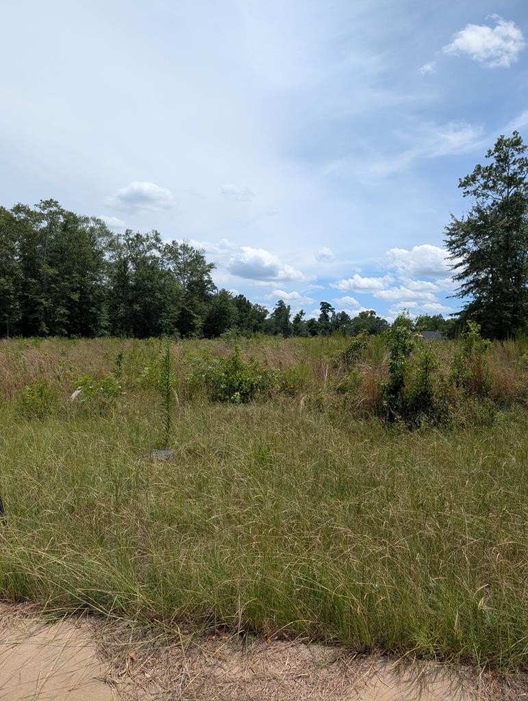 Single Family - 391 Grand Harbor Circle, Dothan, AL
