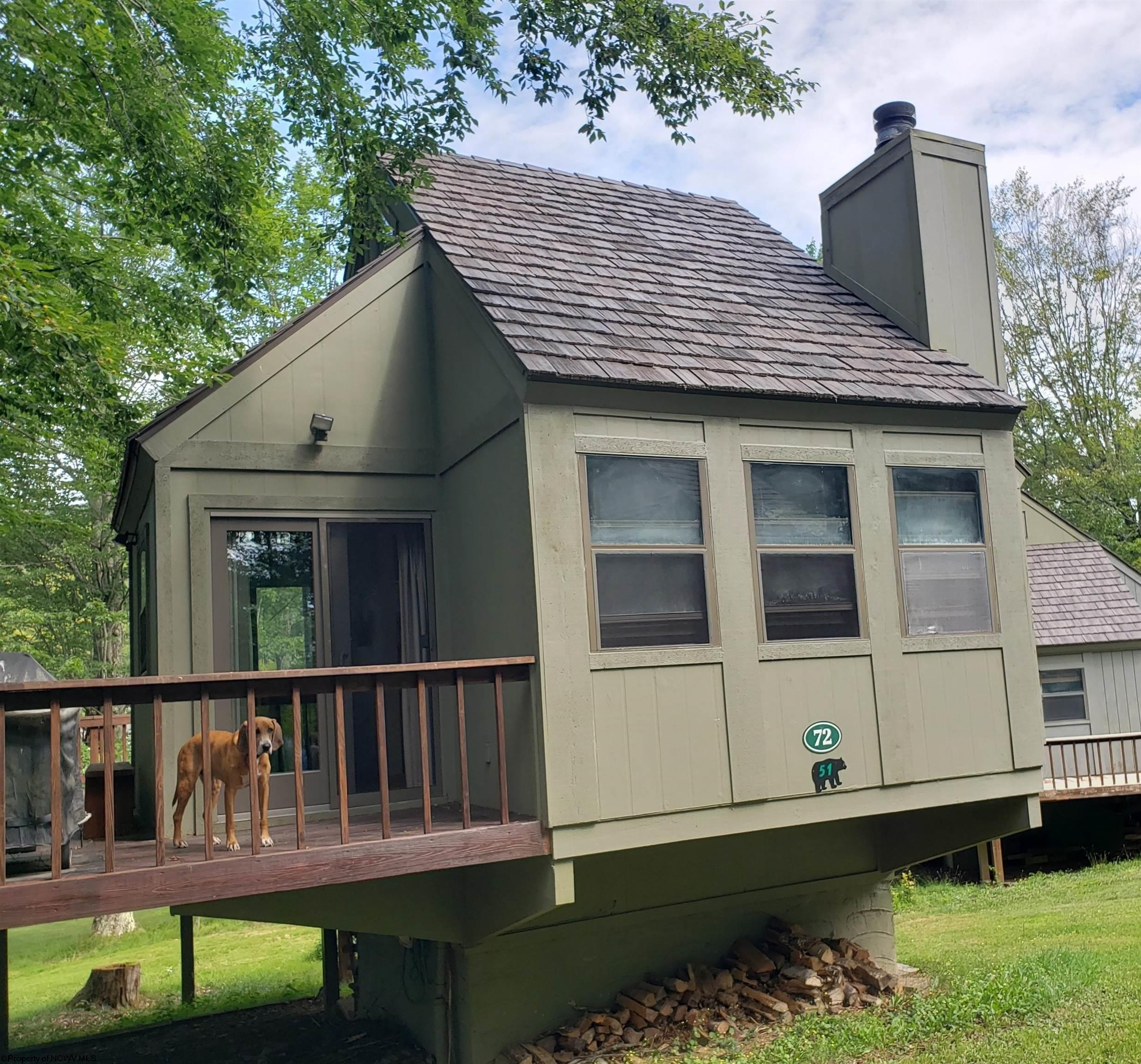 Single Family 2BR 1BA - 72 Red Squirrel Run, Davis, WV