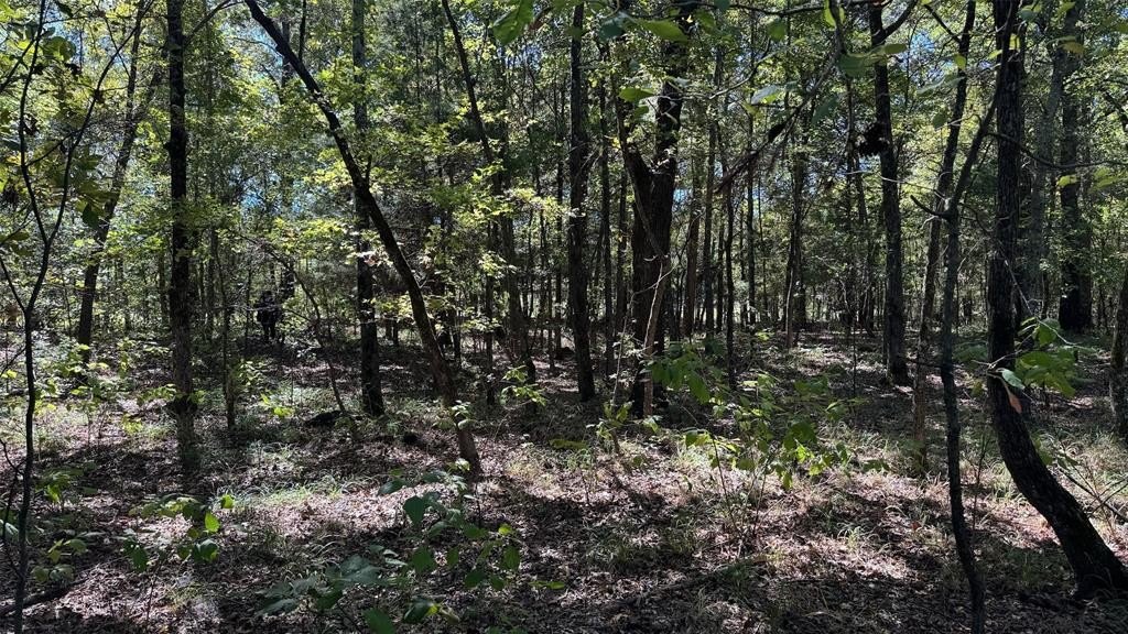 Single Family - 75 County Road 2115, Bagwell, TX