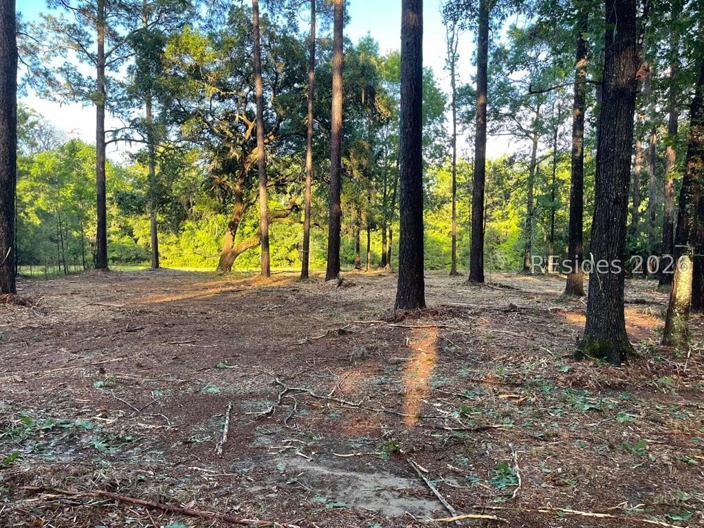 Other - 125 Heyward Point Road, Okatie, SC