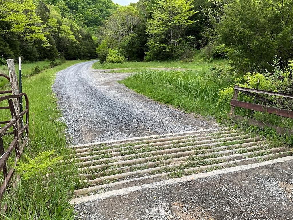 Other - Seven Springs Hlw Rd lot: 596, Castlewood, VA
