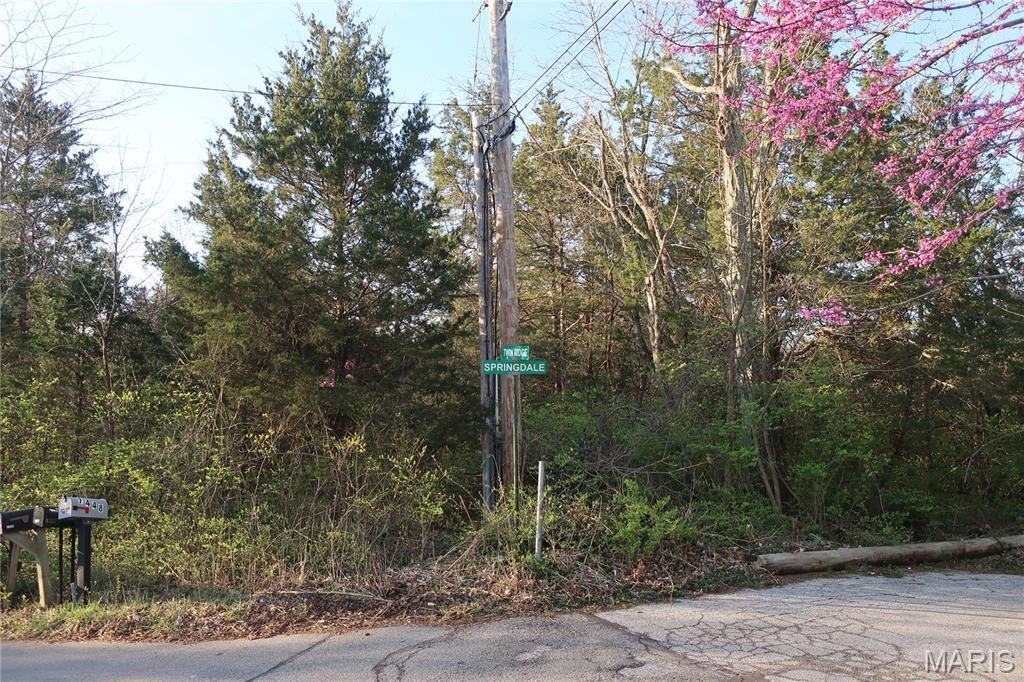 Other - .5177 +/- Ac Twin Ridge Drive, Cedar Hill, MO