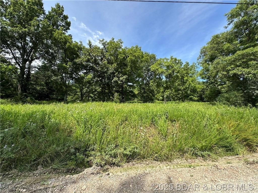 Other - LOT 6R Lick Creek Road, Edwards, MO