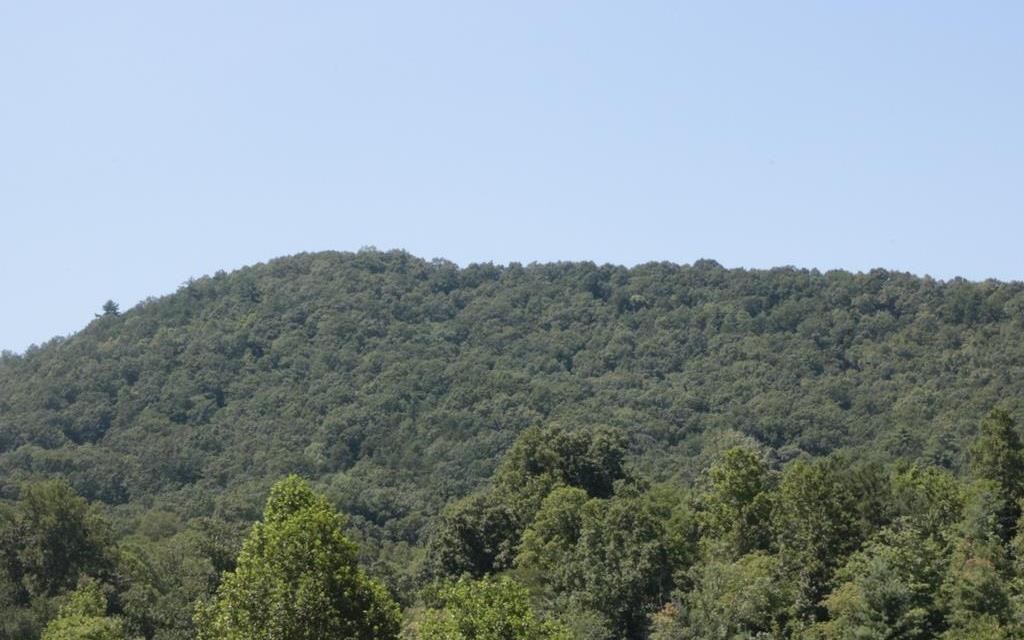 Other - 25 Mountain Knoll Lane, Warne, NC
