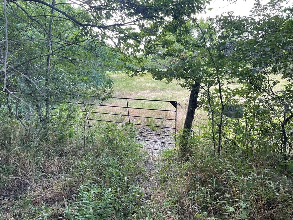 Plots and Land - 4005 County Rd 2825, Honey Grove, TX