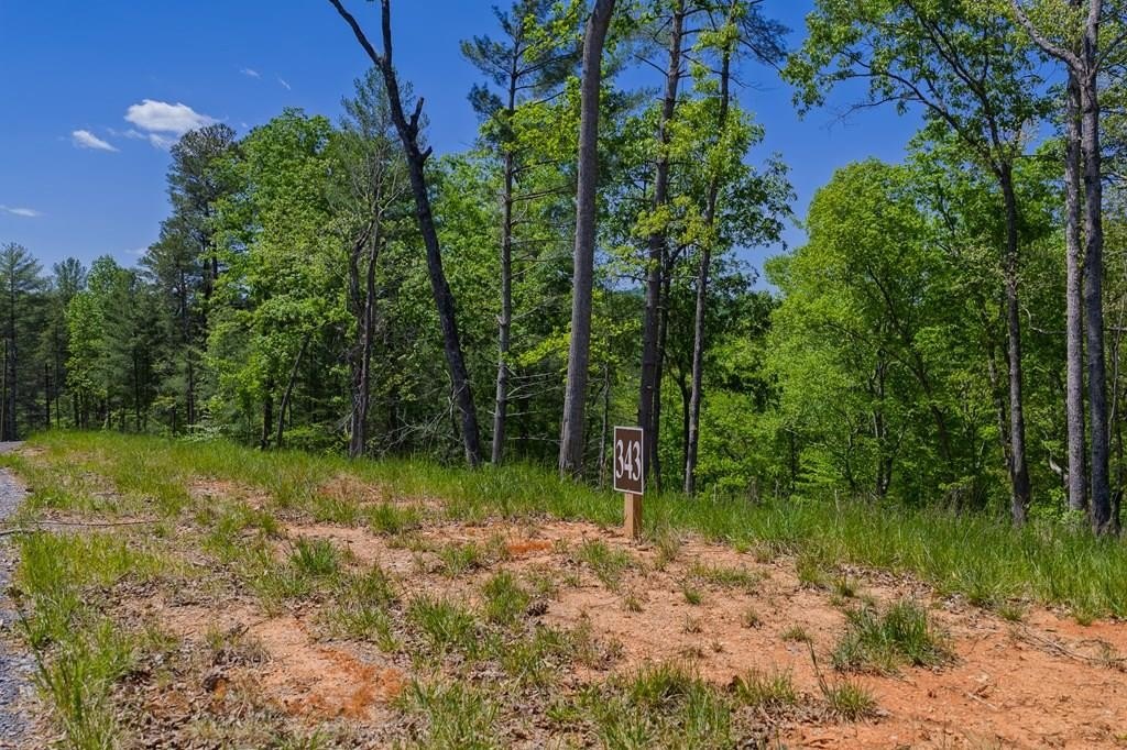 Other - Lot 343 Shallow Branch Drive, Talking Rock, GA