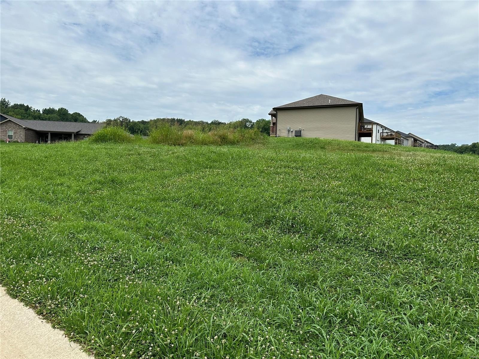 Other - 3552 Mill View Crossing Way, Cape Girardeau, MO