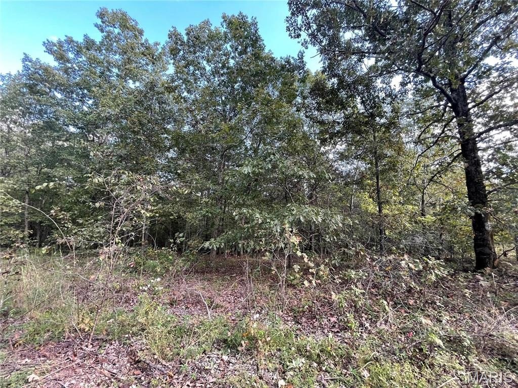 Other - 11 Woodland Heights W, Poplar Bluff, MO