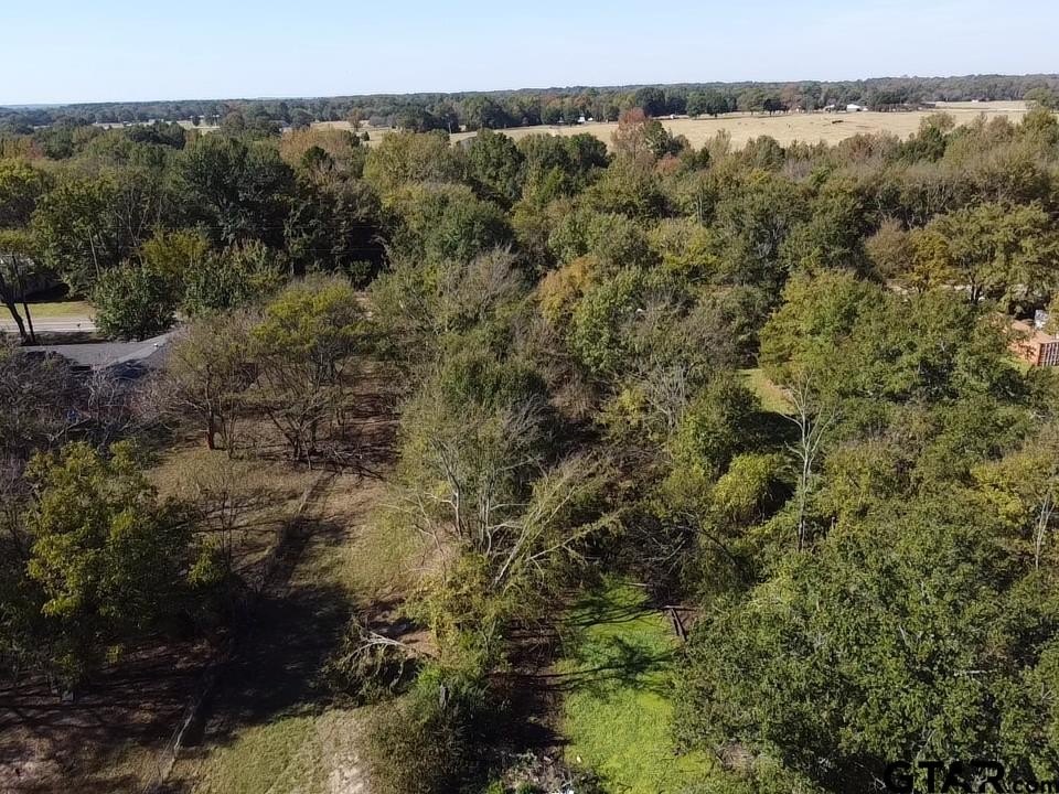 Other - TBD CR 2940/ FM 1799, Alba, TX