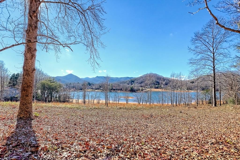 Other - 314 Lakeside Drive, Hiawassee, GA