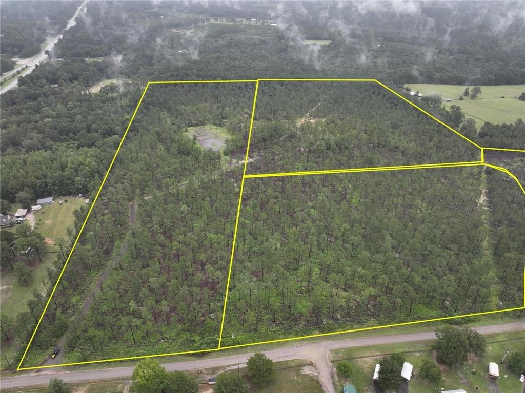 Plots and Land - 1 CR 257, Jasper, TX