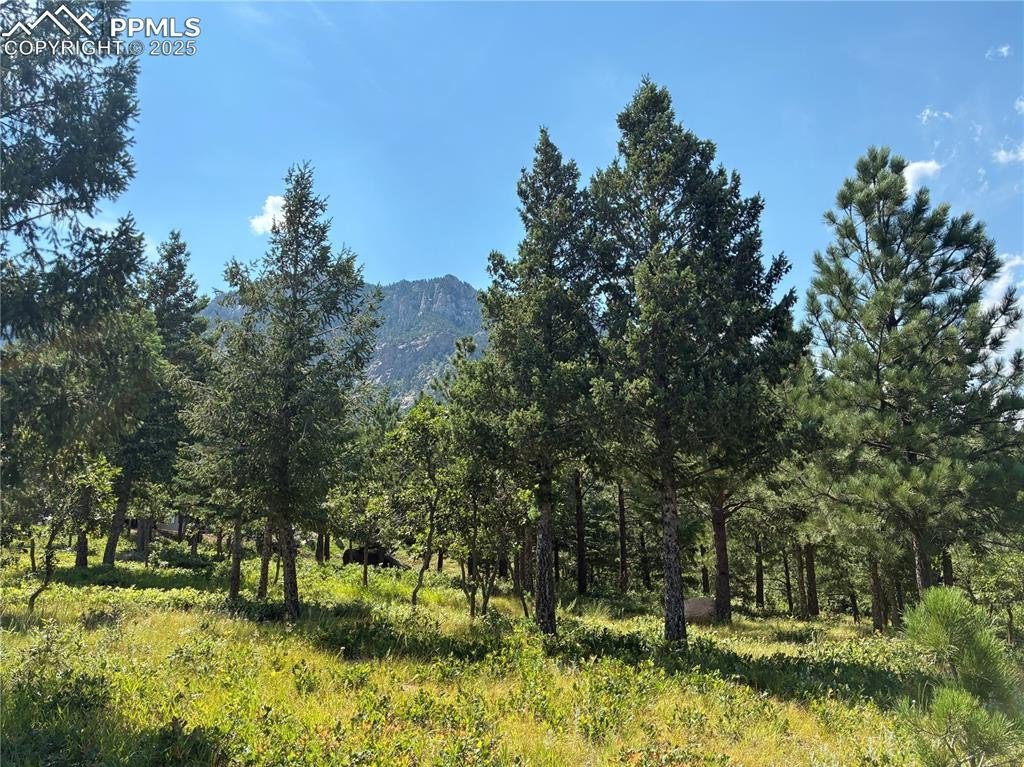Other - 920 Grey Mountain Point, Colorado Springs, CO
