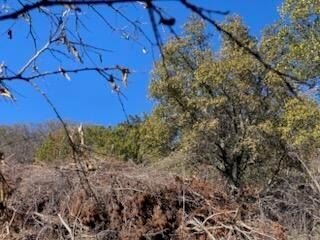 Other - CR 1176, Santa Anna, TX