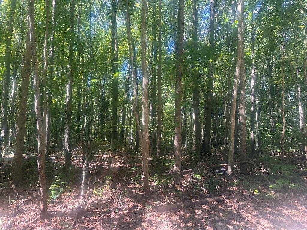 Other - Barrington Hill Rd, FAYETTEVILLE, WV