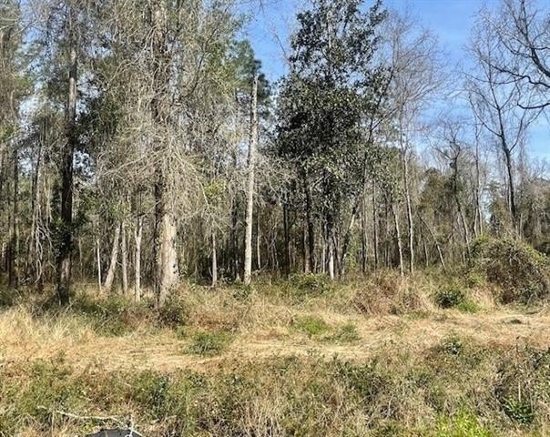 Other - 190 Highway lot: 306 D, Lacombe, LA