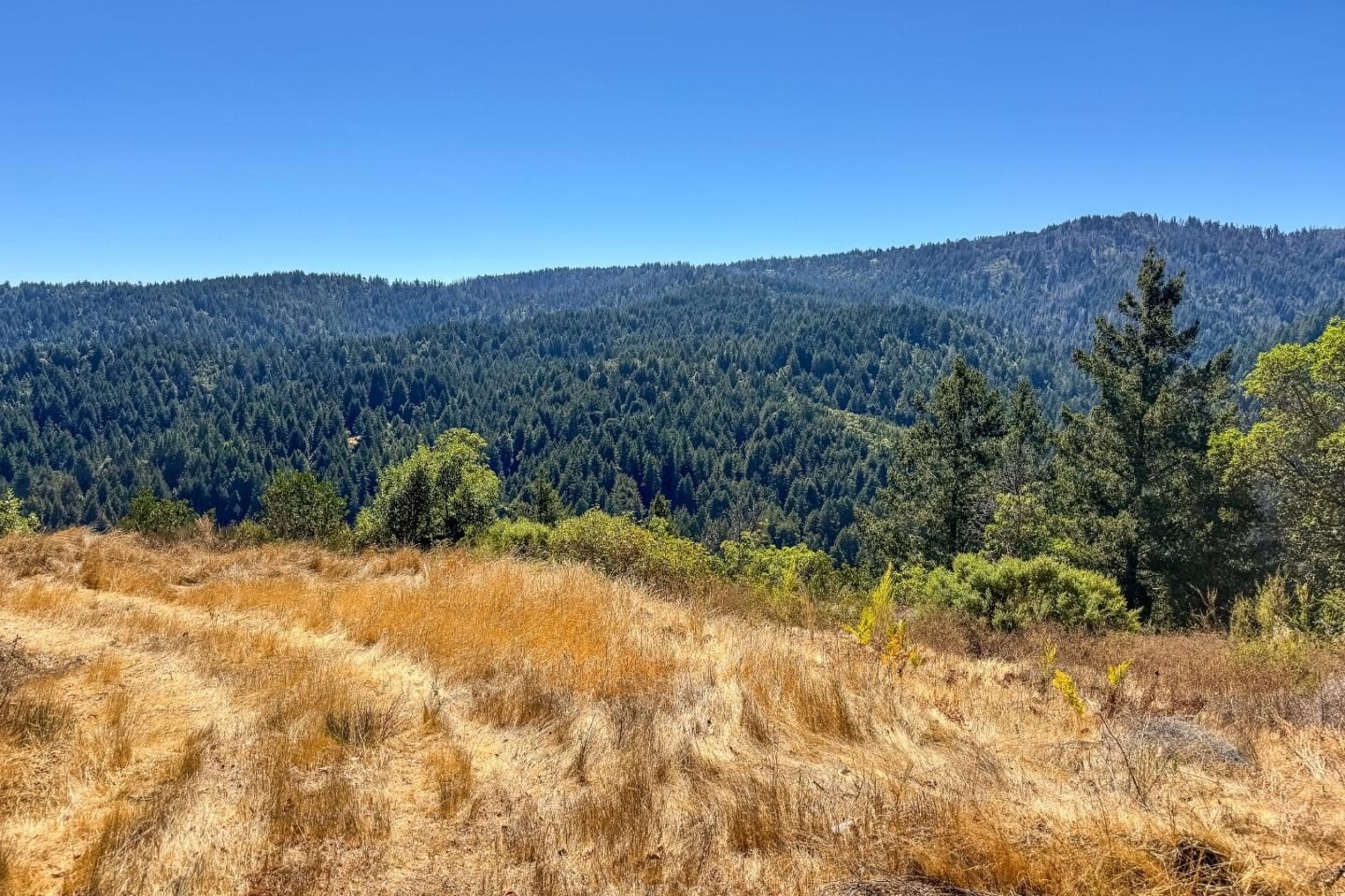 Other - 1200 Roberts RD, BEN LOMOND, CA