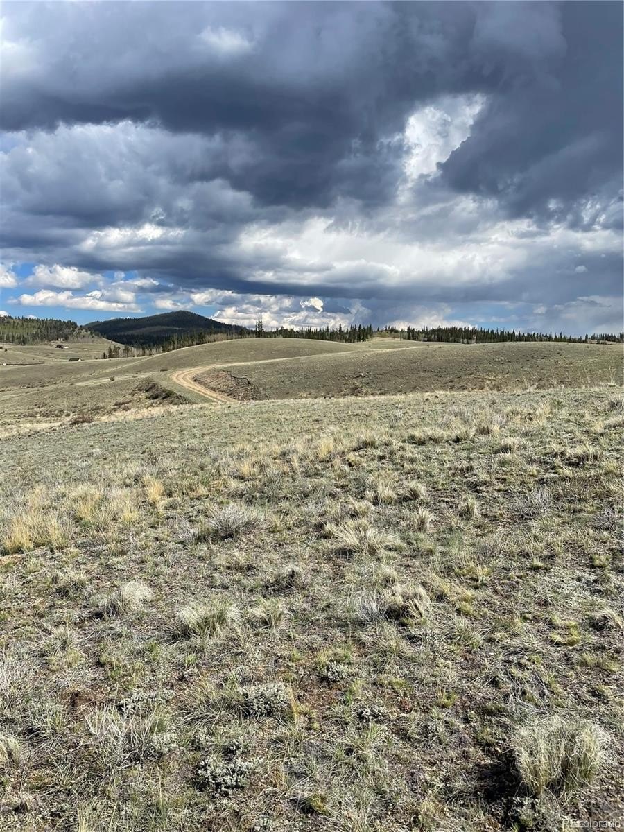 Plots and Land - 252 Albino Road, Jefferson, CO