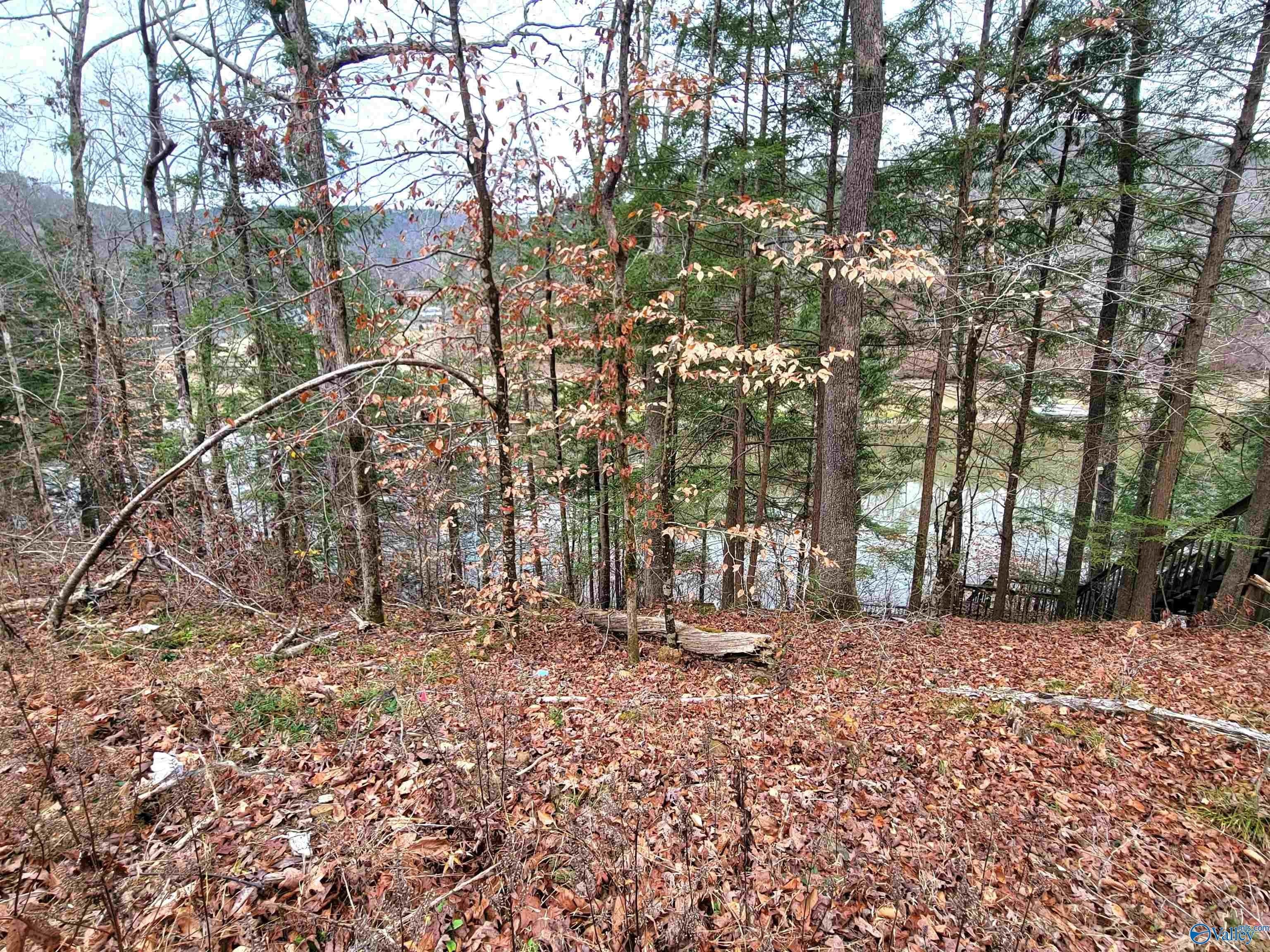 Other - 458 County Road 4036, Arley, AL