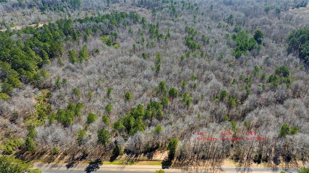 Plots and Land - Lots 7,8,9 J Lazarine FM 130, Hughes Springs, TX