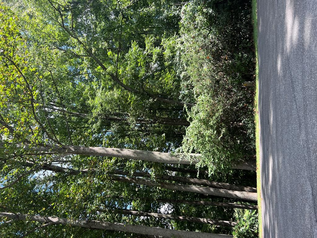 Tbd Rocky Top Rdg Lot Unit 89  