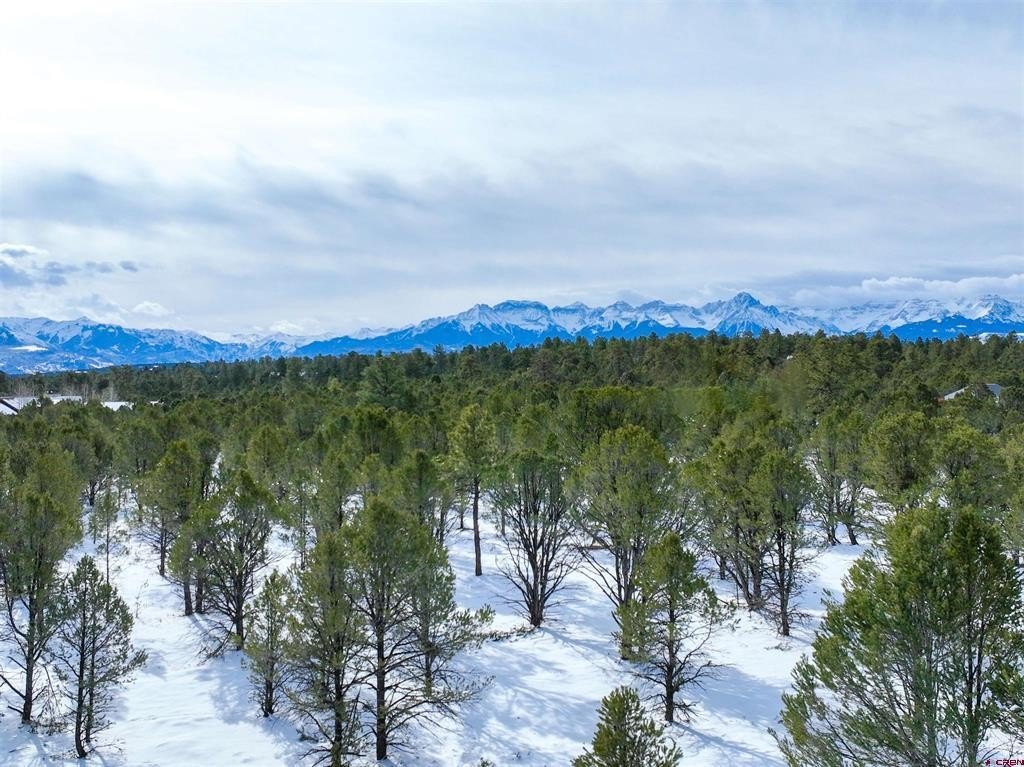 Single Family - Lot 28 Fisher Canyon Drive, Ridgway, CO