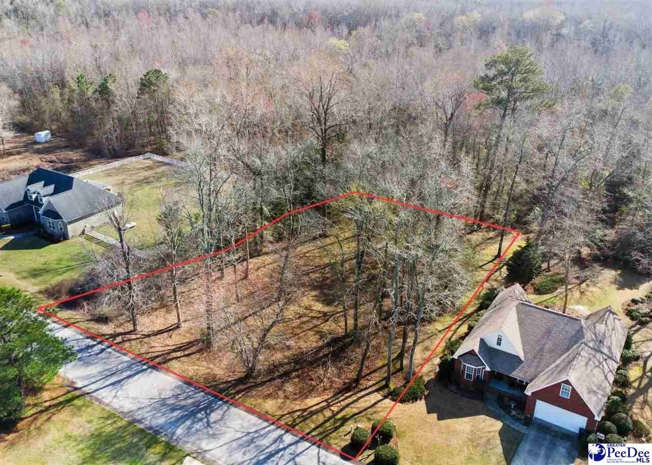 Single Family - TBD Lot 23 Crickintree Lane, Darlington, SC