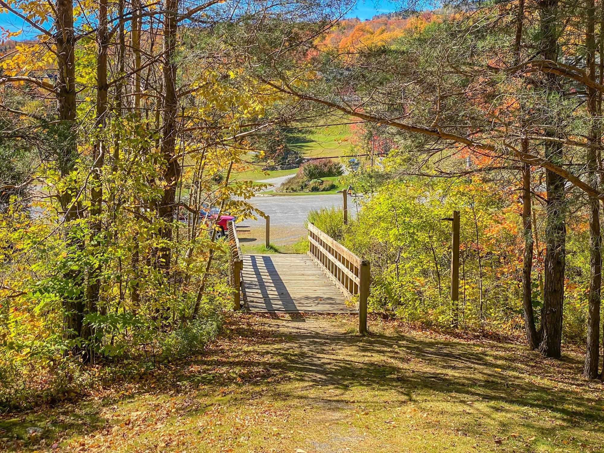 Condo 3BR 3BA - 15B Snow Tree Lane, Dover, VT