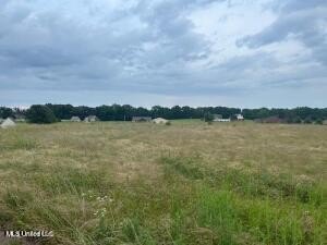 Single Family - 2836 Oak Grove Cove lot: 18, Hernando, MS