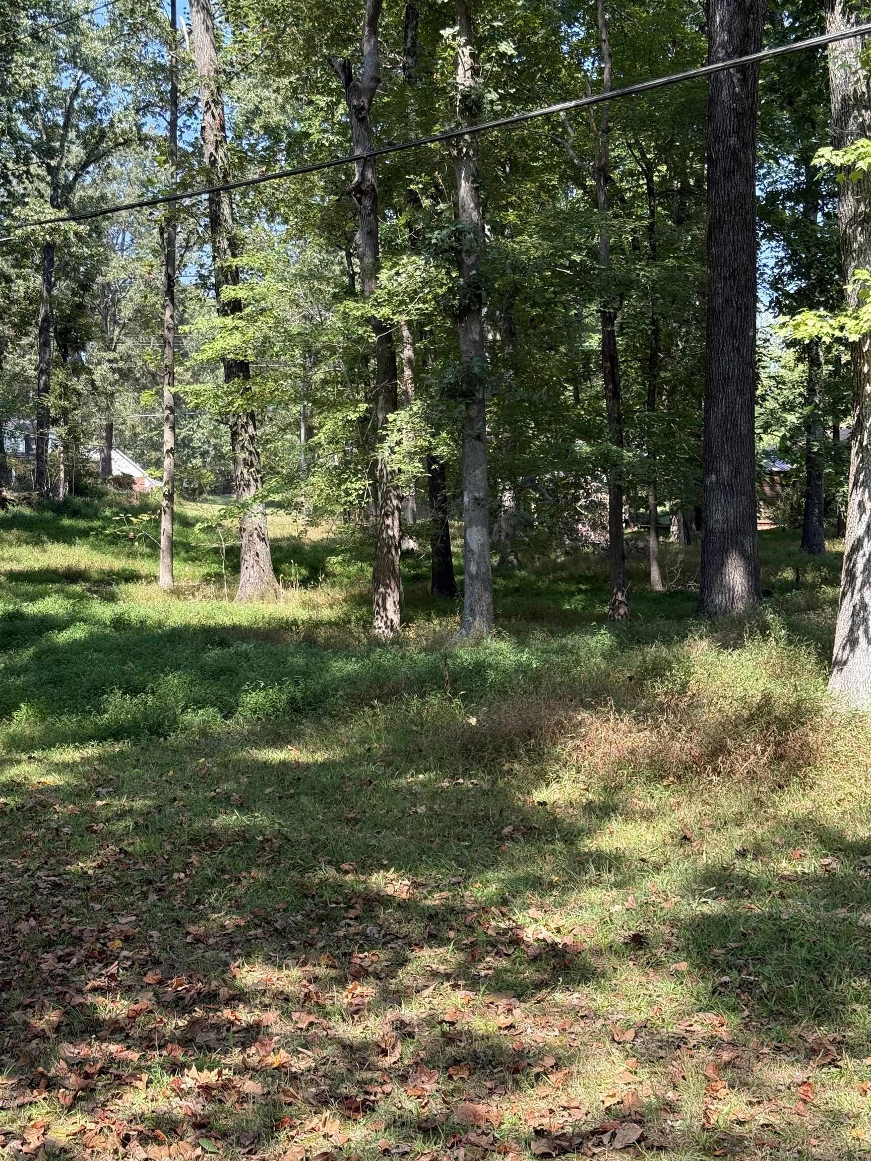 Other 3BR 3BA - 120 BLUEBERRY Rd, Eads, TN