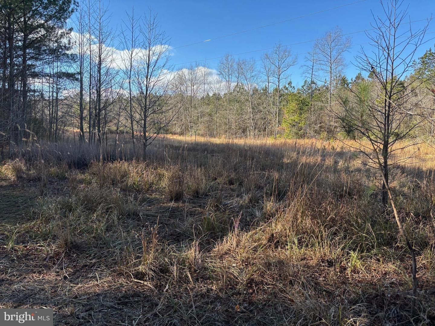 Plots and Land - LOT 4B MOLLYFIELD ROAD, DAGSBORO, DE