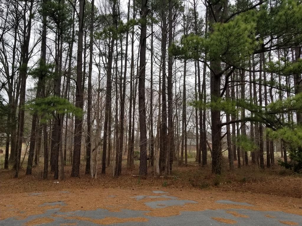 Manufactured Housing - 62 Hickory Circle, Roanoke Rapids, NC