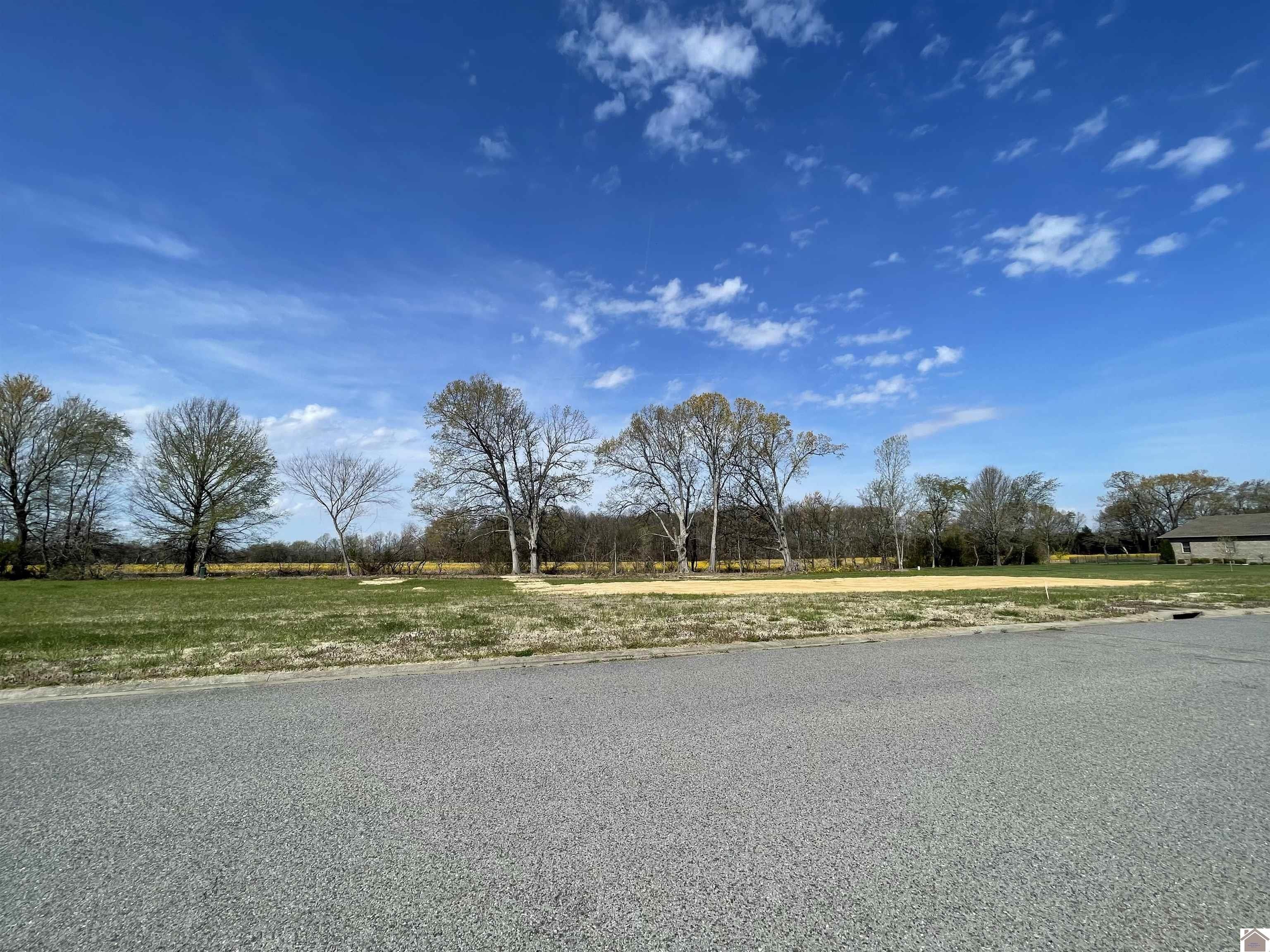 Other - Lot 50 Belle Meade Drive, Murray, KY