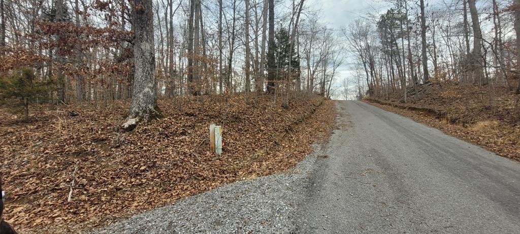 Single Family - 1 Tobaccoport Circle Lot 636, BUMPUS MILLS, TN