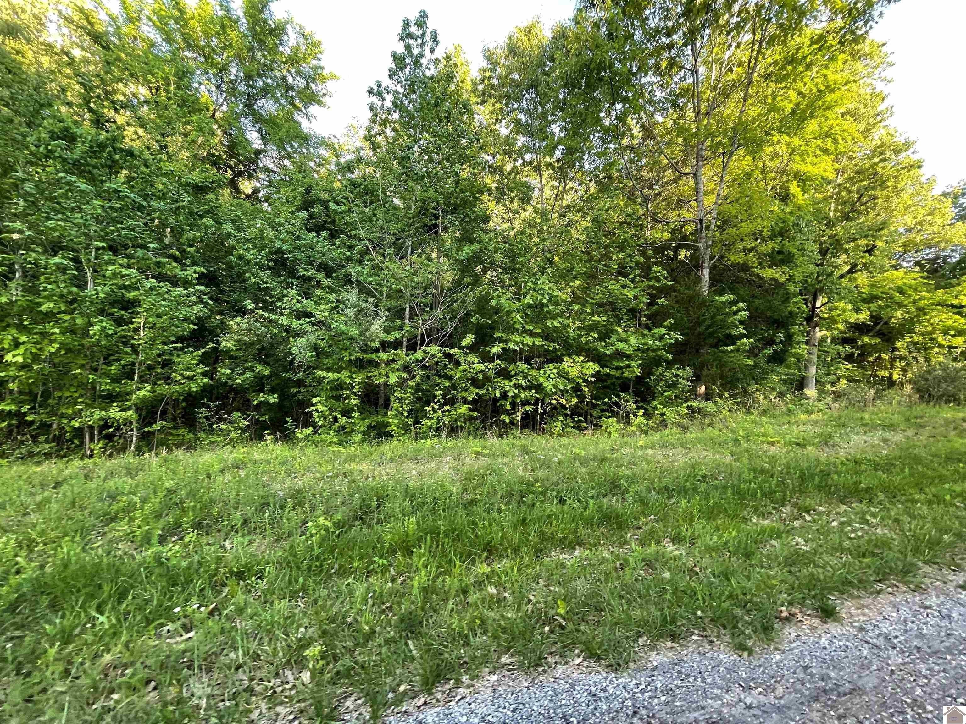 Other - Pines Circle lot: 1X,2X,3X, Cadiz, KY