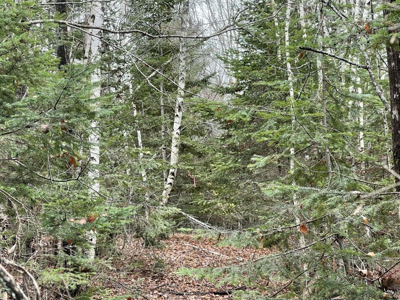 Single Family - 194 E Gulch Road, Thorndike, ME