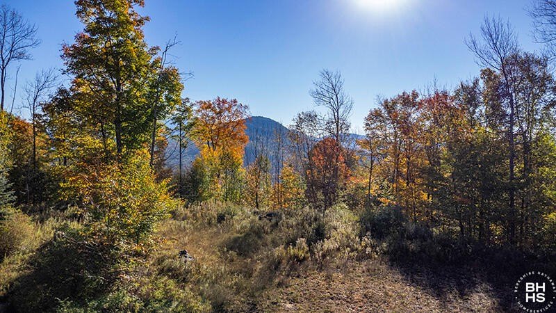 Other - Panorama Drive Lot 14, Saranac Lake, NY