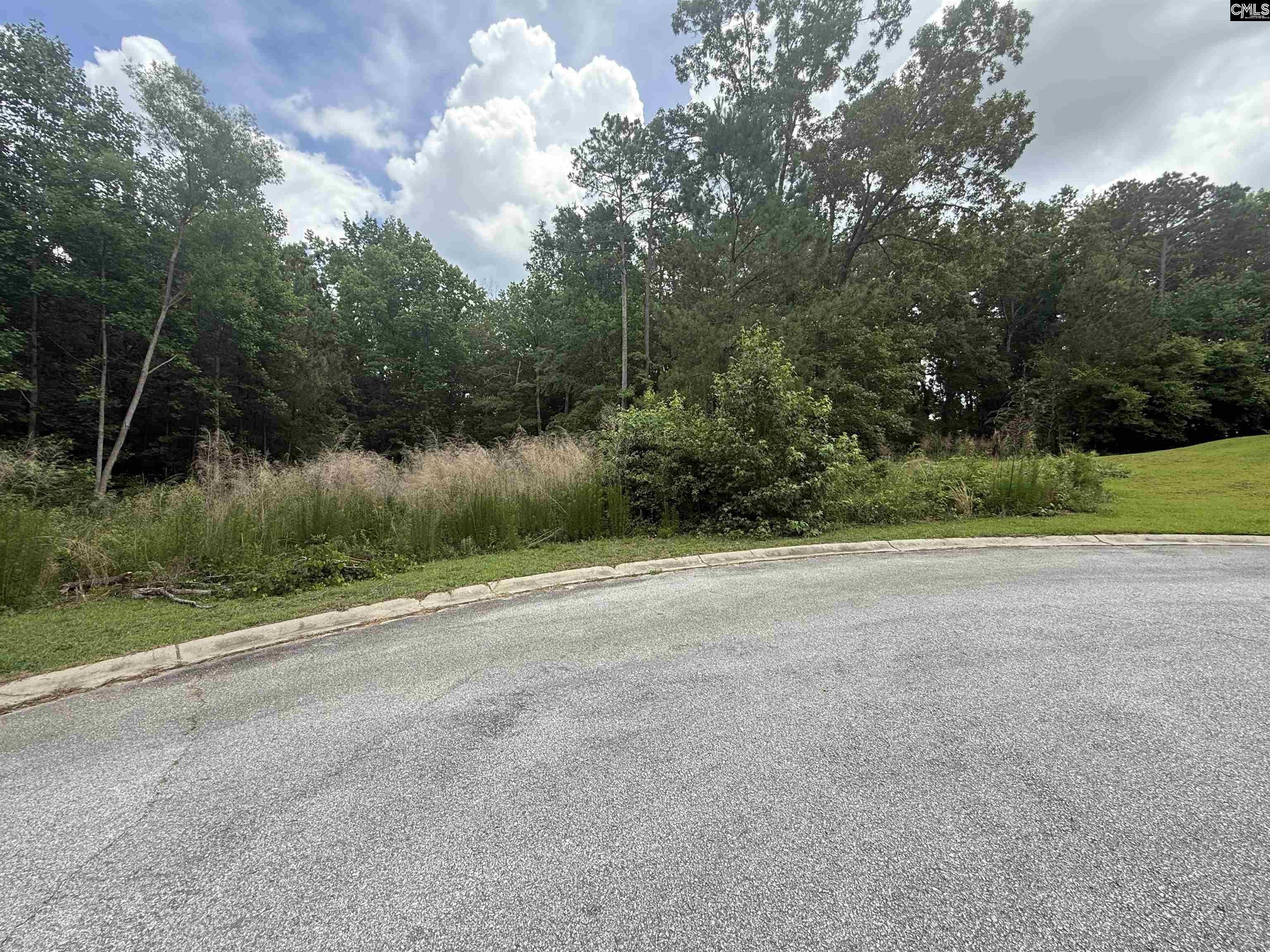 Other - 243 Fair Ridge Lane, Blythewood, SC