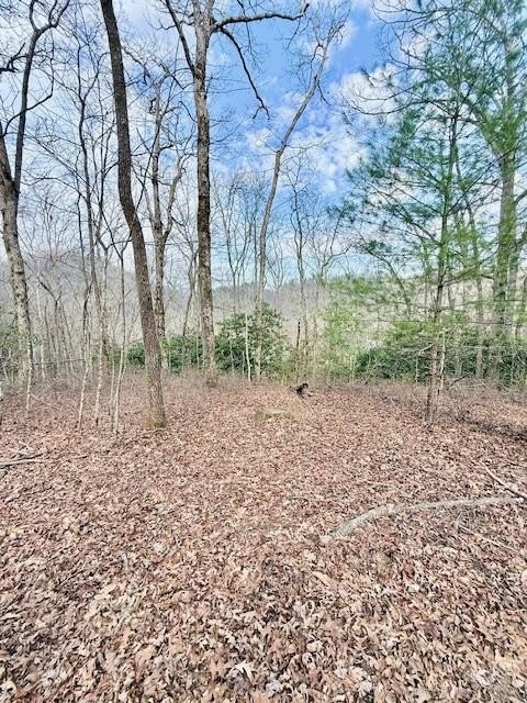 Other - 00 Pleasant View, ROBBINSVILLE, NC