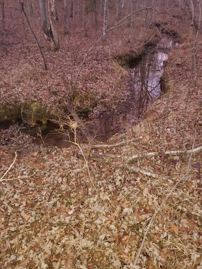 Other - Indian Trail lot: 45, Monterey, TN