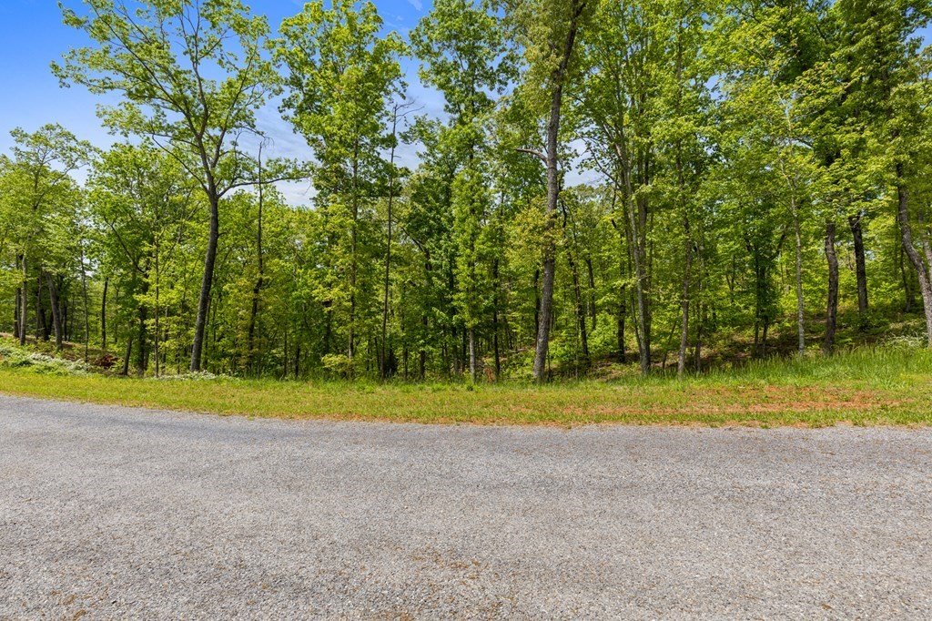 Other - Lot 39 Jakes Landing Way, Ellijay, GA