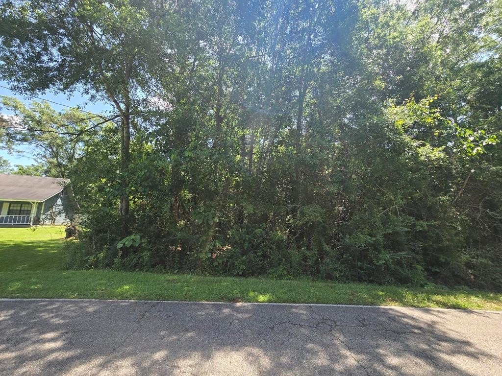 Other - 116 EAST SUNNYBROOK RD, Carriere, MS
