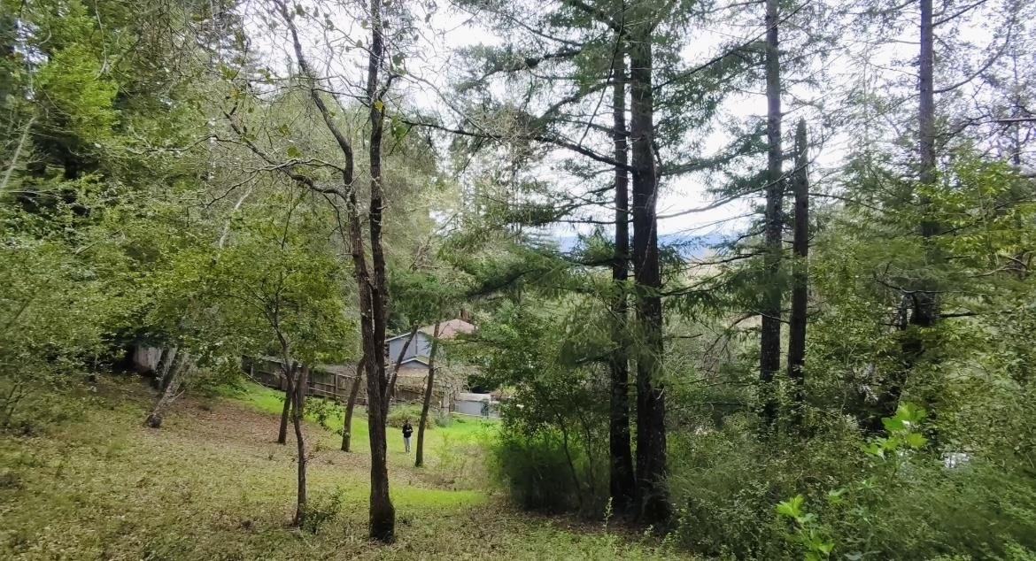 Other - 15971 Forest Hill DR, BOULDER CREEK, CA