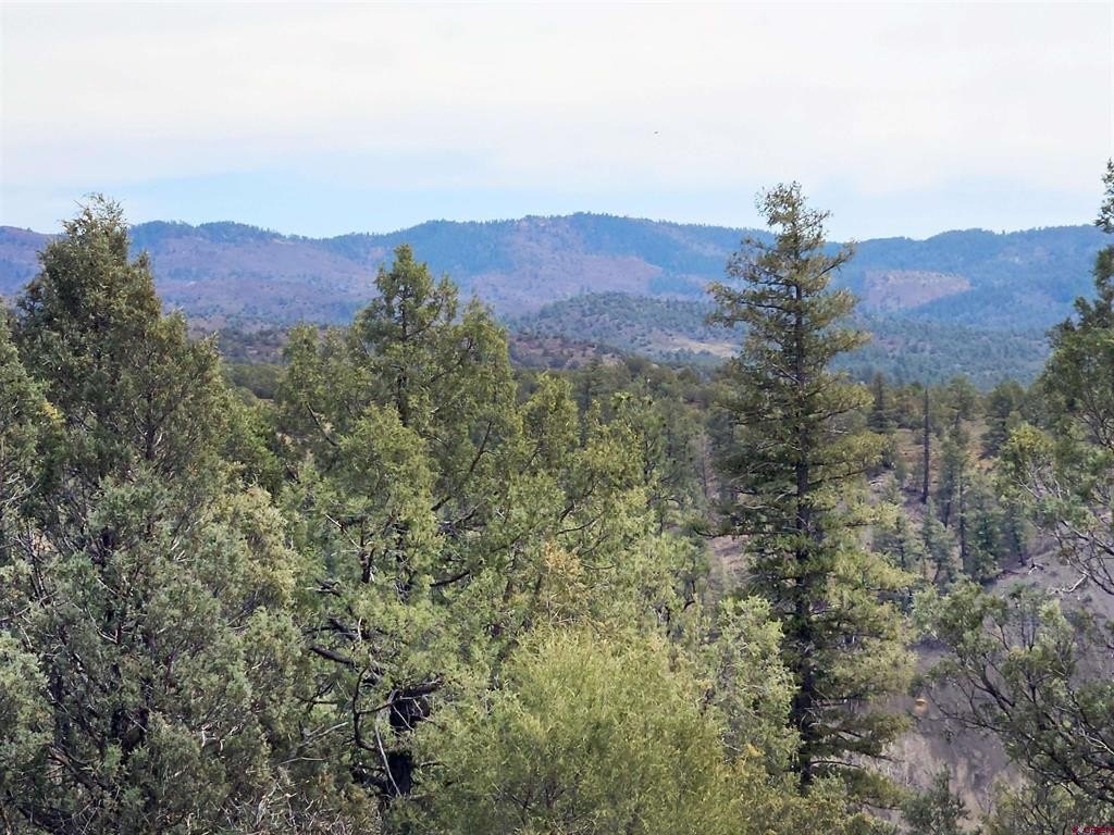 Single Family - 206 Alcazar Place, Pagosa Springs, CO